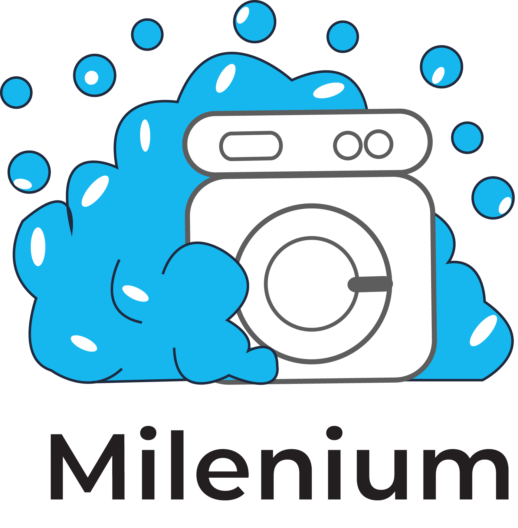 Milenium praonica rublja i servis za čišćenje